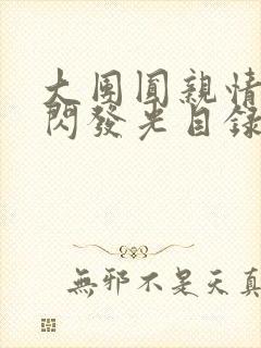 大团圆亲情会闪闪发光目录封面