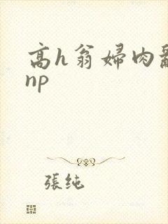 高h翁妇肉乱文np封面