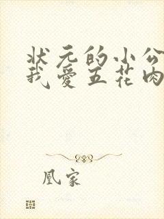 状元的小公主(我爱五花肉)