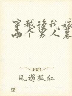 穿越后我嫁给了两个男人暮色酒歌