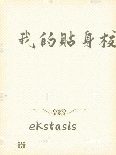 我的贴身校花