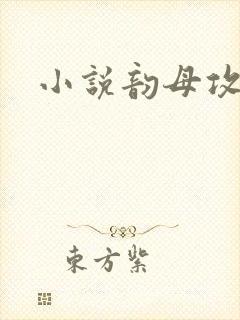 小说韵母攻略