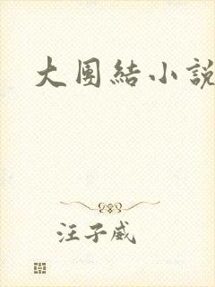 大团结小说阅读