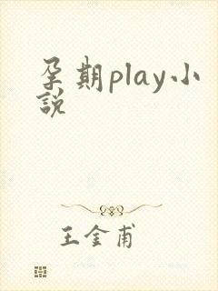 孕期play小说