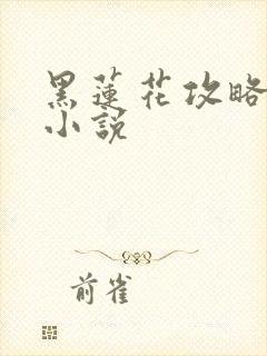 黑莲花攻略手册小说封面