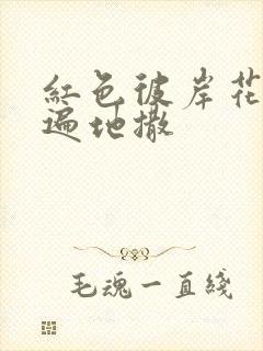 红色彼岸花花瓣遍地撒封面