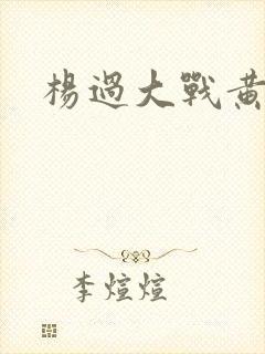 杨过大战黄蓉