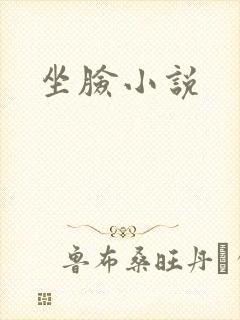 坐脸小说