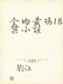 全肉黄码18无禁小说封面