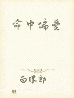 命中偏爱封面