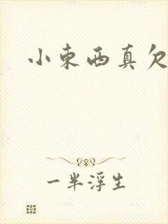 小东西真欠弄