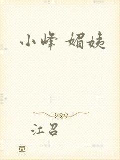 小峰 媚姨封面