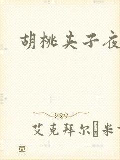 胡桃夹子夜未眠