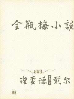 金瓶梅小说在线封面