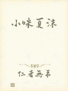 小咪夏沫封面