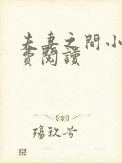 夫妻之间小说免费阅读封面