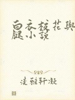 白衣校花与大长腿小说