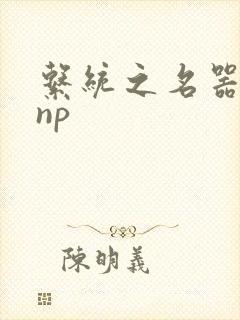 系统之名器攻略np