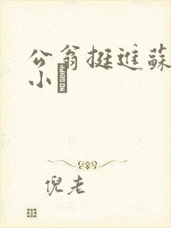 公翁挺进苏玥的小泬