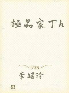 极品家丁h