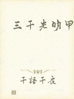 三千光明甲