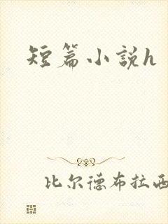 短篇小说h