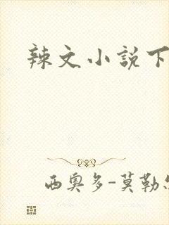 辣文小说下载封面