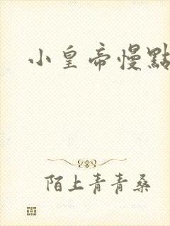 小皇帝慢点疼封面