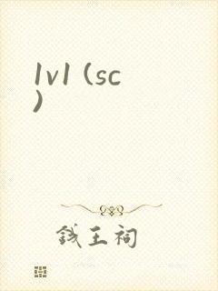 1v1 (sc)