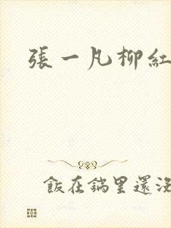 张一凡柳红