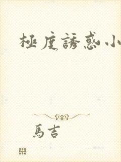 极度诱惑小说