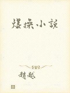 爆操小说