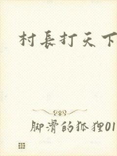 村长打天下封面