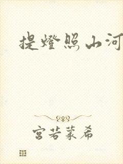 提灯照山河封面