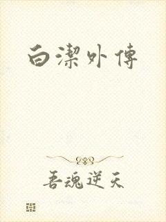 白洁外传