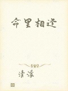 命里相逢封面