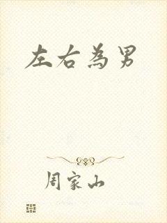 左右为男封面