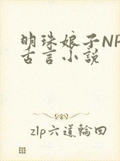 明珠娘子NPC古言小说封面
