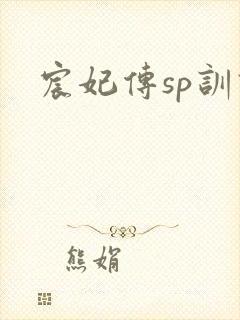 宸妃传sp训诫封面