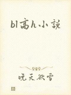 bl高h小说封面