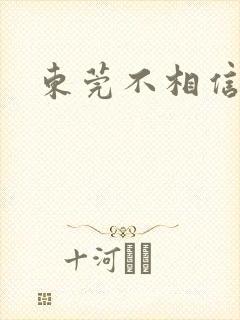 东莞不相信眼泪