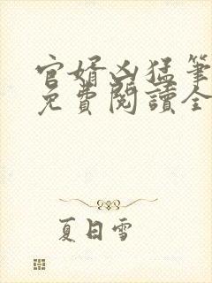 官婿凶猛笔趣阁免费阅读全文