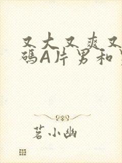 又大又爽又黄无码A片男和男封面