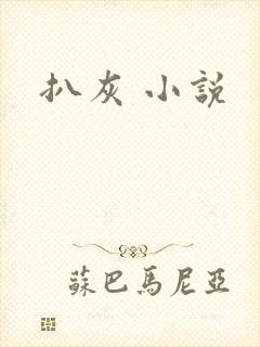 扒灰 小说