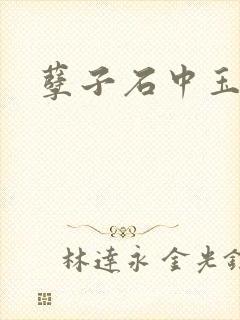 孽子石中玉