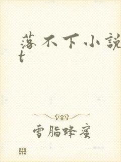 落不下小说txt