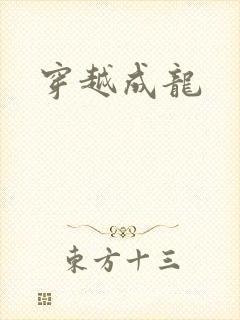 穿越成龙