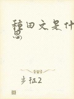 种田文是什么意思