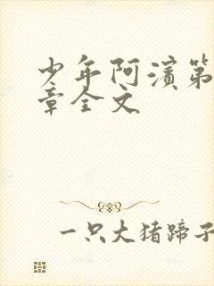 少年阿滨第13章全文