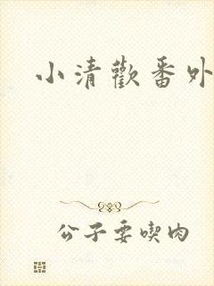 小清欢番外